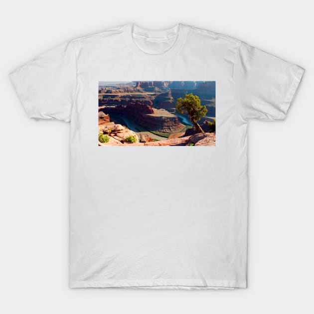 Dead Horse Point T-Shirt by valentina9